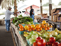 Produce like tomatoes, citrus, bananas, and lettuce piled on a table in an open air market