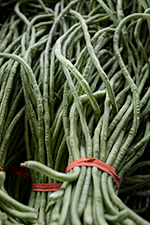 A bunch of very long green beans grouped by a red rubber band