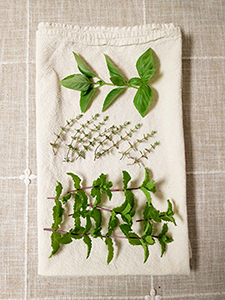A few sprigs of green herbs laying on a naturally colored cloth