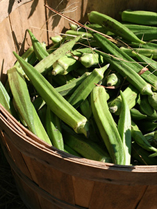 Wooden basket full of green okra