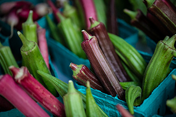 colorful pods of okra - including red, green, and purple