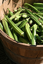 Wooden basket full of long hexegontal green pods