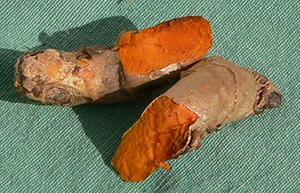 a turmeric rhizome cut in half to show the dark orange color