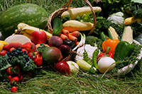 A wide variety of vegetables artfully arranged