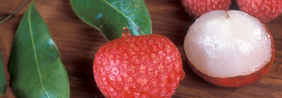 Red bumpy round lychee fruit, one partially peeled to reveal translucent white flesh