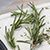 Springs of rosemary on a cutting board