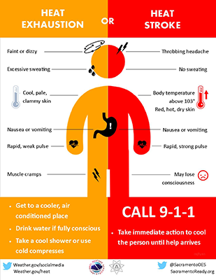 A colorful graphic version of the symptoms of heat exhaustion and heat stroke, listed in the article