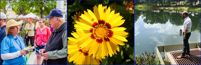 From left to right: Master Gardener volunteers yellow coreopsis flower, Dr. AJ Reisinger