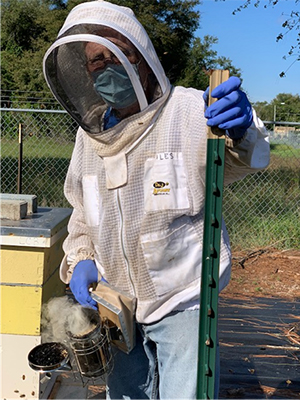 Man in beekeeping suit