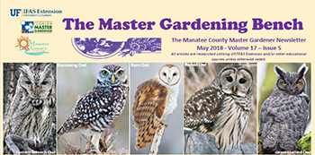 Newsletter cover image with title and five owl photos