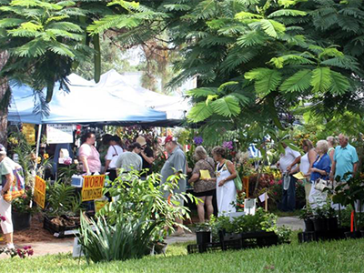 Many people shopping for displayed green plants under white tents outdoors