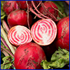 red beet roots, one is cut in half to expose the red and white striped flesh