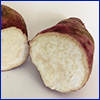 A potato-like boniato tuber cut open to show its white starchy flesh