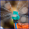 A tiny sprinkler head shoots out tiny streams of water in all directions