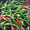 A pile of small green peppers with a few red ones.