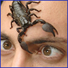 A scared looking man with a black scorpion on his forehead