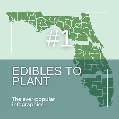 Illustration of a map of Florida with clear separation of North, Central, and South Florida and the words Edibles to Plant, the ever-popular infographics