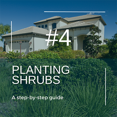 Photo of a nicely landscape Florida yard with the words Planting Shrubs, a step by step guide superimposed over
