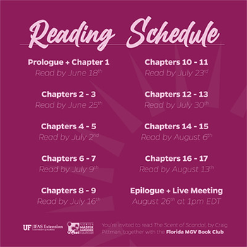 Illustration of reading schedule