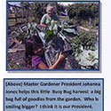 Santa Rosa County Master Gardener volunteers