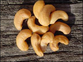 The shelled cashew nut