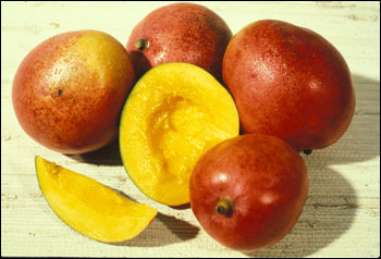 A mango cut open to reveal yellow flesh