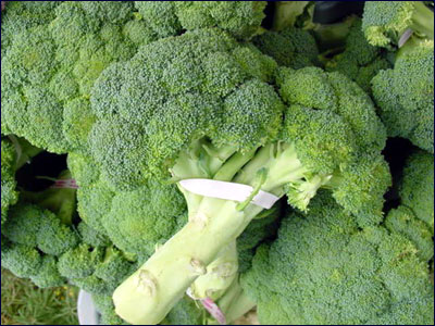 Edible heads of broccoli