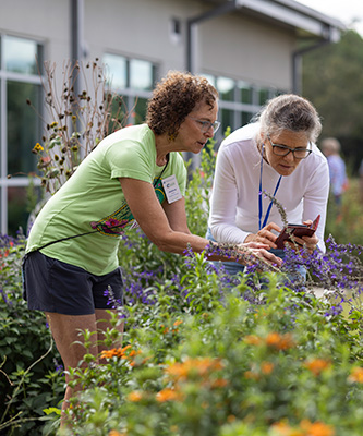 Two women looking carefully at flowering plants in a garden while taking notes.