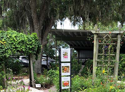 A shady green garden with excellent signage.