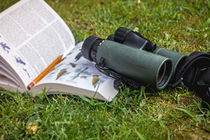 A pair of binoculars atop an open bird guide book in the grass.