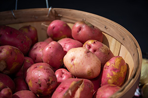 Red potatoes in a wooden basket.