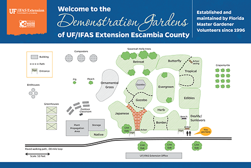 Illustration of the layout for the upgrade to the Escambia MGV demonstration garden