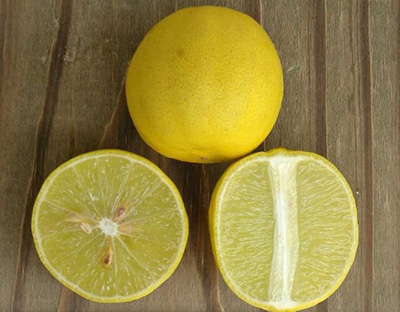 Key limes are actually yellow when ripe. They're very round. This photo shows one Key lime whole and yellow, and another cut open to show the light yellow-green translucent flesh.