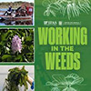 Working in the Weeds podcast icon is green with plants.