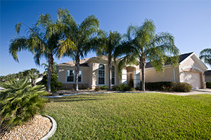 Stately queen palms in front of a Florida home.