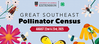 Colorful graphic for the event featuring illustrations of flowers and flying insects.