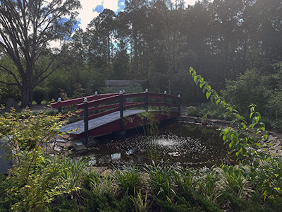 A wooden bridge over a pond at a botanical garden