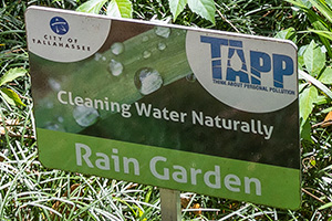 Museum garden sign reading Cleaning Water Naturally, Rain Garden