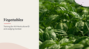 Cover image of the vegetables Plant ID presentation