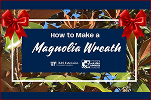 Title card from video reads How to Make a Magnolia Wreath