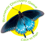 Play the Butterfly Discovery Game