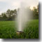 small photo of an irrigation head