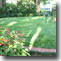 small image of a nice lawn