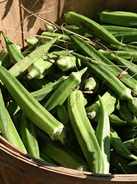 Okra in a basket