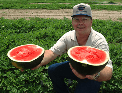 man holding a watermelon cut in half with the bright red side of the watermelon facing upwards