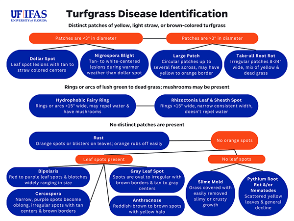 Turfgrass diseased identification