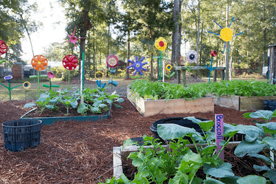 A home garden of raised beds, pinestraw walkways, and colorful pinwheel stakes