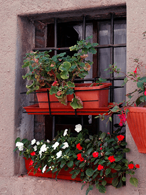 A window with two levels of window boxes that are terra cotta colored and fill with impatiens and geraniums