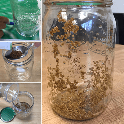 four combined photos of the glass jar being filled with seeds