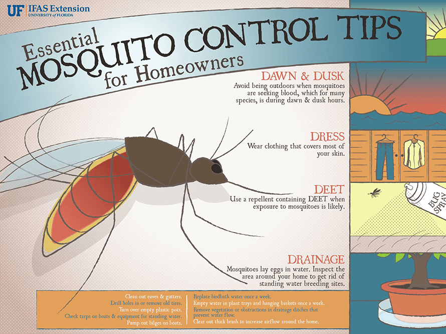 Illustrated tips for managing mosquitoes around your home